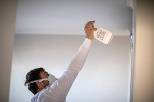Best Commercial Mold Removal  in Tooele, UT