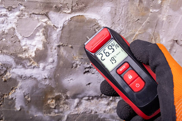 Best Local Mold Removal Service  in Tooele, UT