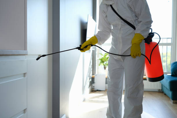 Best Mold Cleaning Services  in Tooele, UT