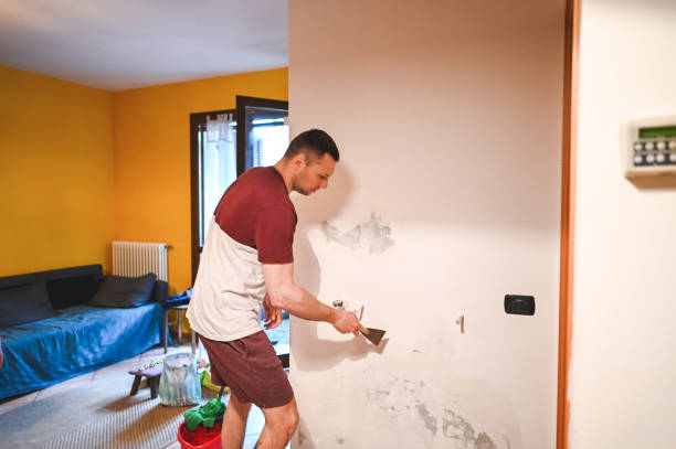 Best Home Mold Removal  in Tooele, UT